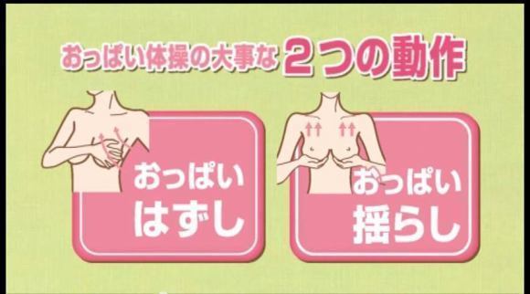 美乳・育乳