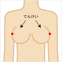 美乳・育乳