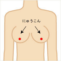 美乳・育乳