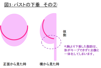 美乳大作戦