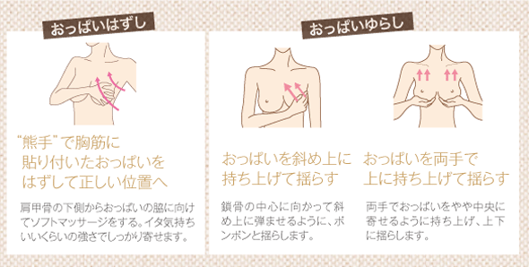 美乳・育乳